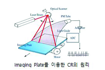 ���Ȱ˻� �̹���